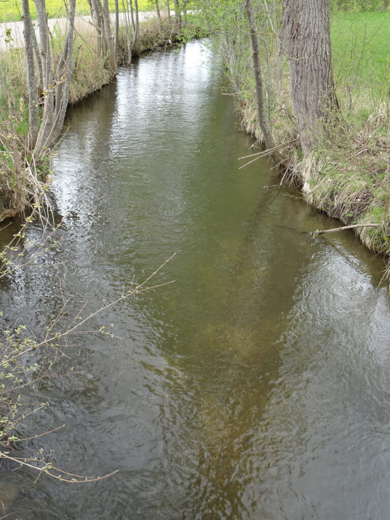 nasenbach goldach 1