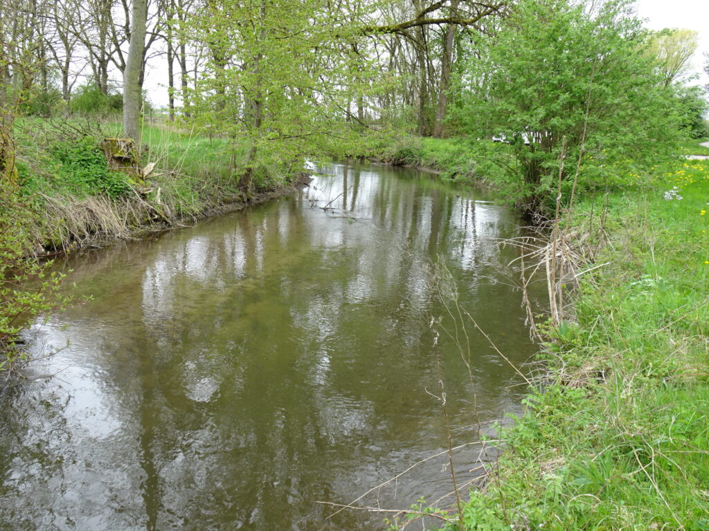 nasenbach goldach 2