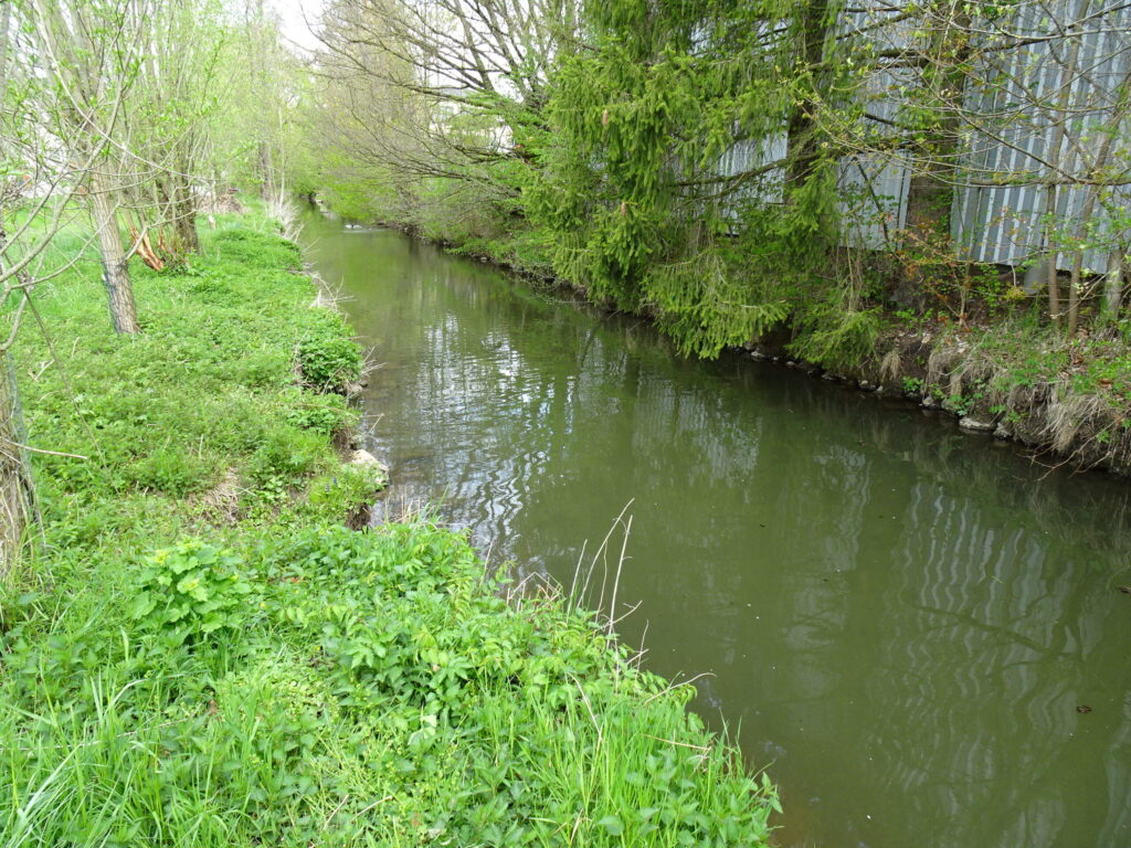 vils 4