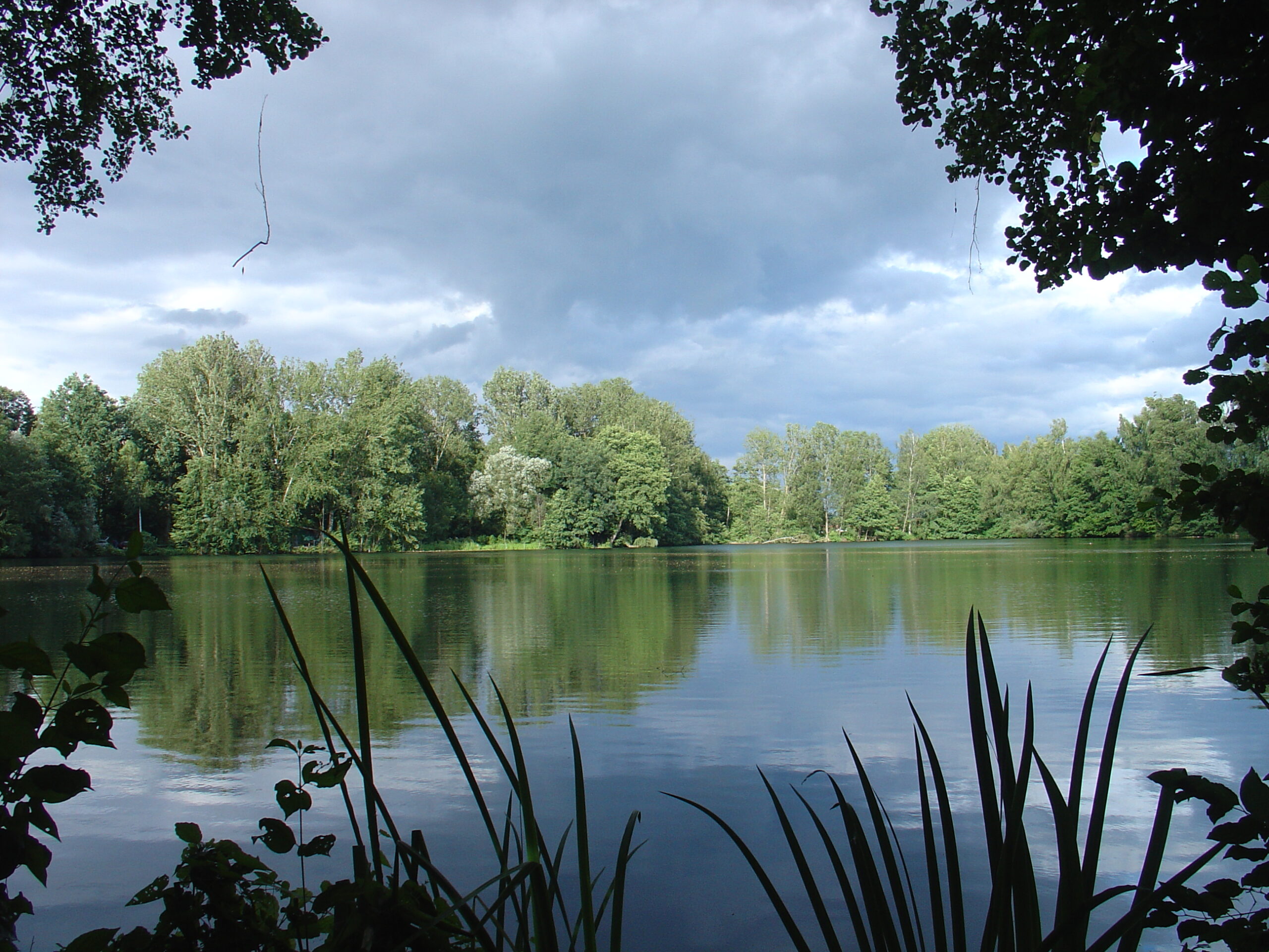 waldsee 1